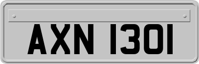 AXN1301