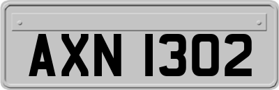 AXN1302