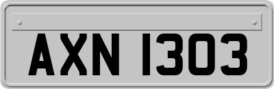 AXN1303