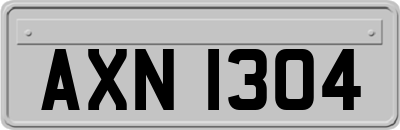 AXN1304