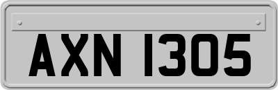 AXN1305