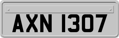 AXN1307