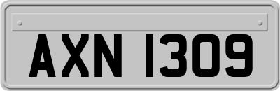 AXN1309