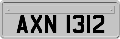 AXN1312