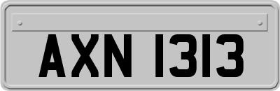 AXN1313