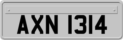 AXN1314