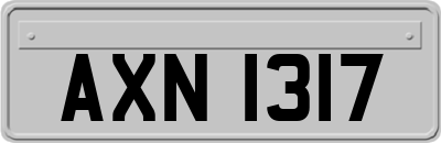 AXN1317