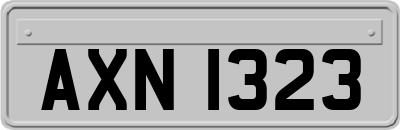 AXN1323