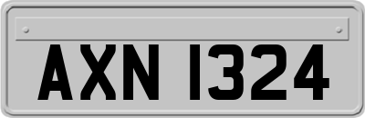 AXN1324