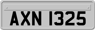 AXN1325