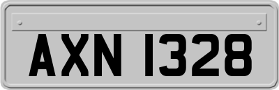 AXN1328