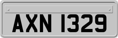 AXN1329