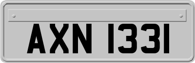 AXN1331