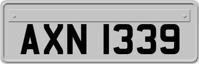 AXN1339