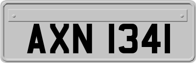 AXN1341