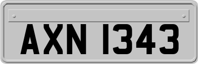AXN1343