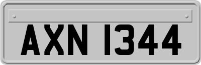 AXN1344