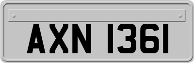 AXN1361