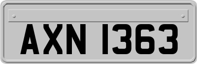 AXN1363