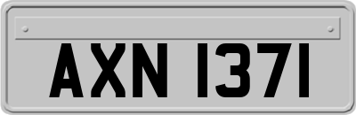 AXN1371