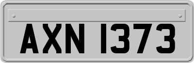 AXN1373