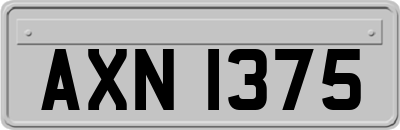 AXN1375