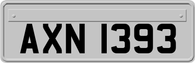 AXN1393