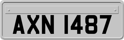 AXN1487