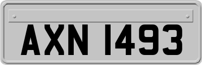 AXN1493