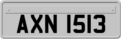 AXN1513