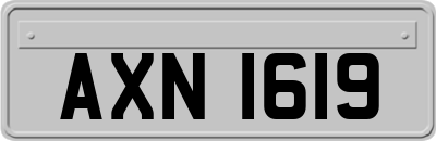 AXN1619