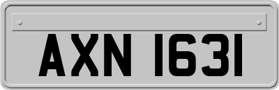 AXN1631
