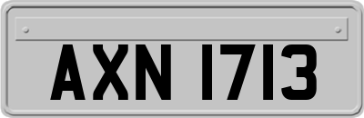 AXN1713