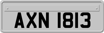 AXN1813