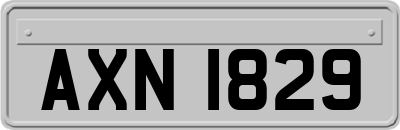 AXN1829