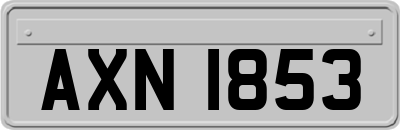 AXN1853