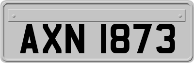 AXN1873
