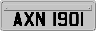 AXN1901