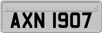 AXN1907