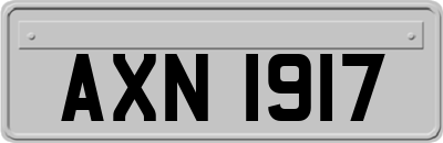 AXN1917