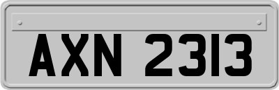 AXN2313