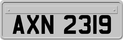 AXN2319
