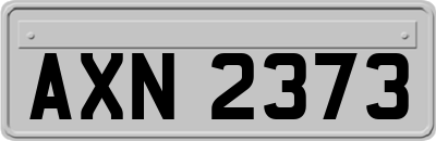 AXN2373