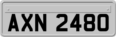 AXN2480