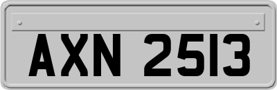 AXN2513