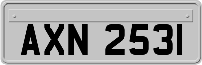 AXN2531
