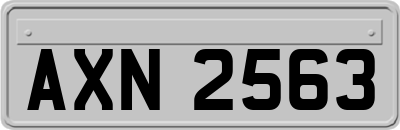 AXN2563