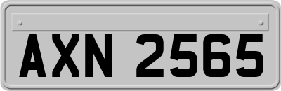 AXN2565