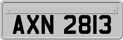 AXN2813