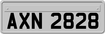AXN2828
